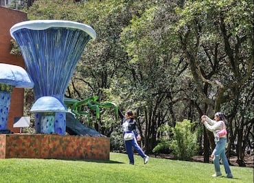 FOTOS: Así son los hongos monumentales que brotan en Chapultepec como parte del festival Spora