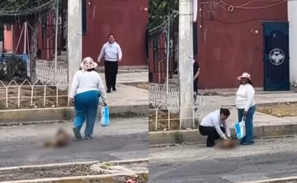 Rescatan a perrita que era arrastrada por una mujer en calles de Pachuca, Hidalgo; activistas protestan contra el maltrato animal