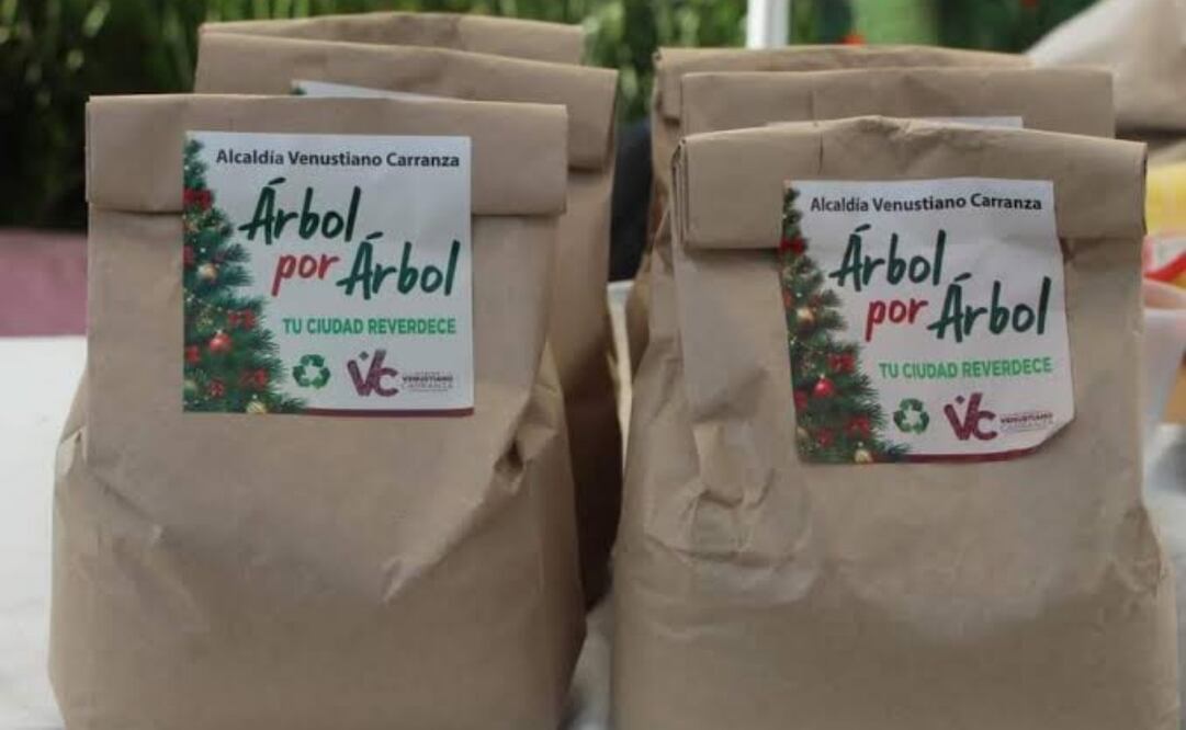 Inicia programa “Árbol por Árbol” en la alcaldía Venustiano Carranza (07/01/2025). Foto: Especial