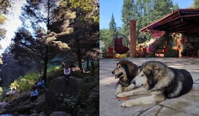 Can-ping: acampa con tu perro cerca de CDMX