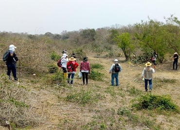 Hallan siete fosas clandestinas en Veracruz; suman 43