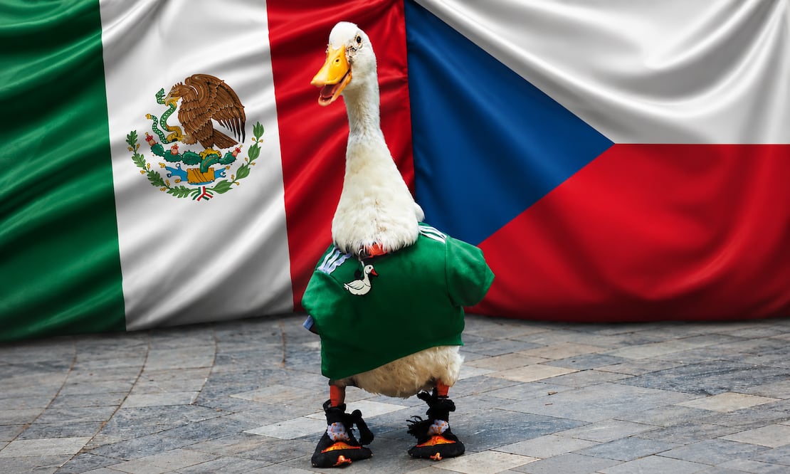 ¿Pato Merlín podrá entrar al Estadio CDMX tras invitación?. Foto: Karla Guerrero / EL UNIVERSAL