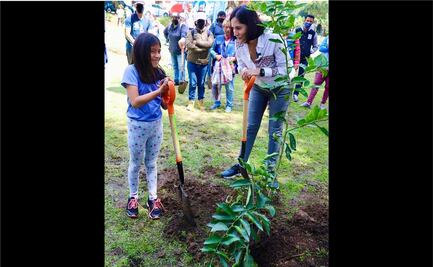 Lía Limón encabeza jornada de reforestación en Álvaro Obregón; se plantaron 60 árboles