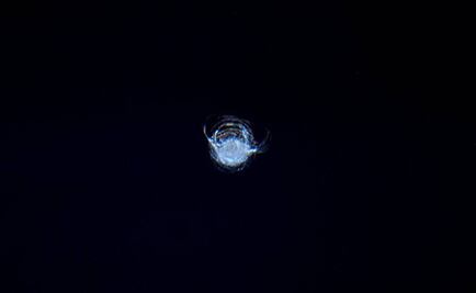 Basura espacial quebró vidrio de la EEI