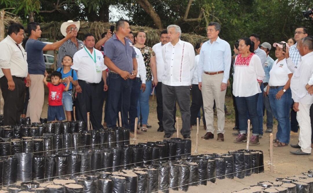 Foto: Twitter @SemVidaMx