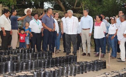 Programa “Sembrando Vida” ha apoyado a 142 mil campesinos: Secretaría de Bienestar