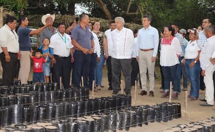 Programa “Sembrando Vida” ha apoyado a 142 mil campesinos: Secretaría de Bienestar