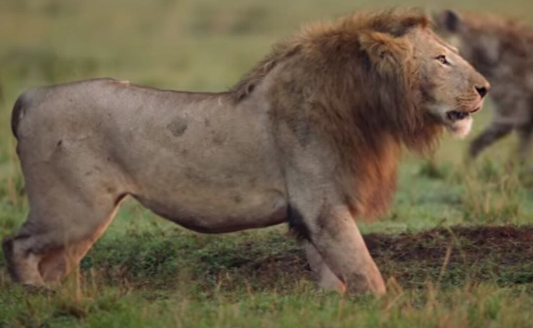 Foto: tomada de video