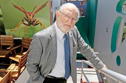 ‘En rector se busca autoridad académica, quizá no un Nobel’