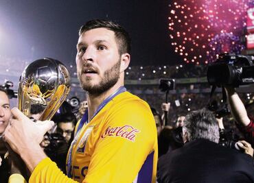 Por una dictadura atigrada