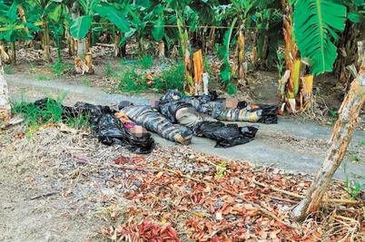 Encuentran a cinco personas asesinadas y en bolsas en Veracruz