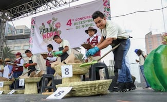 Realizan concurso de desespinado de nopal en el Monumento a la Revolución; una mujer fue la ganadora