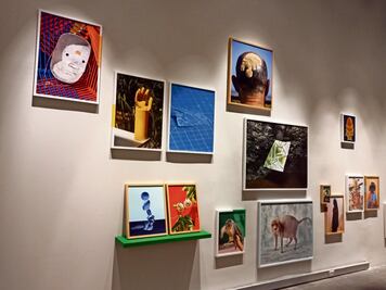 Violencia, catástrofes, AI, animales y cultura, en la XX Bienal de Fotografía