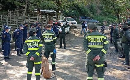 Matan a niña de cuatro años en Colombia; suman seis menores asesinados este año