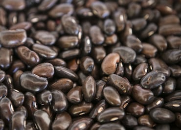 Un proteína podría combatir el virus que ataca al frijol