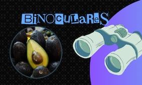 Extorsión pone en jaque al aguacate mexicano: Blindan empacadoras de Michoacán