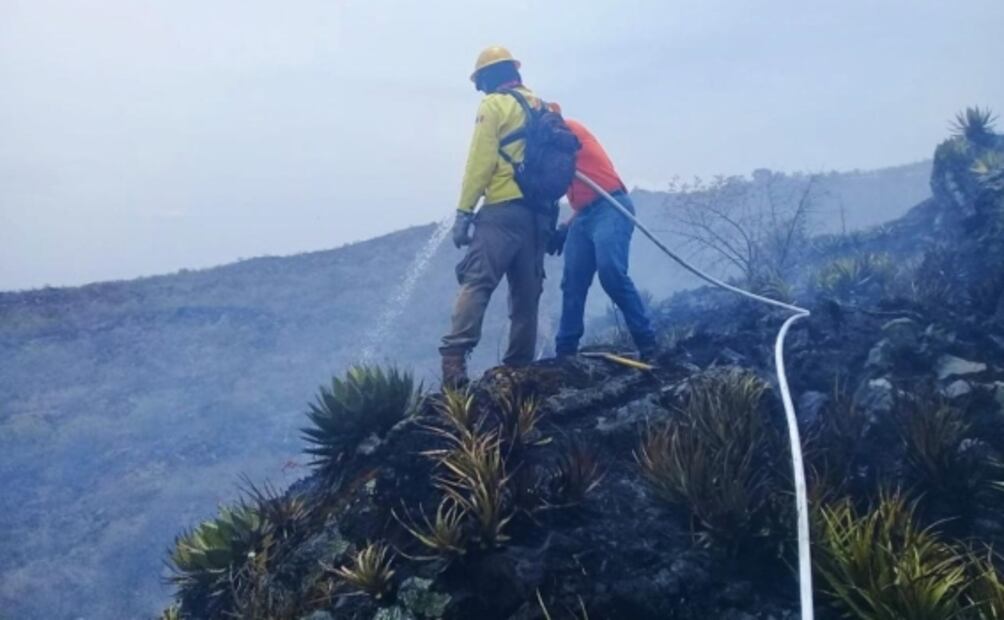 Liquidan al 100% incendio forestal al lado de la autopista México-Cuernavaca