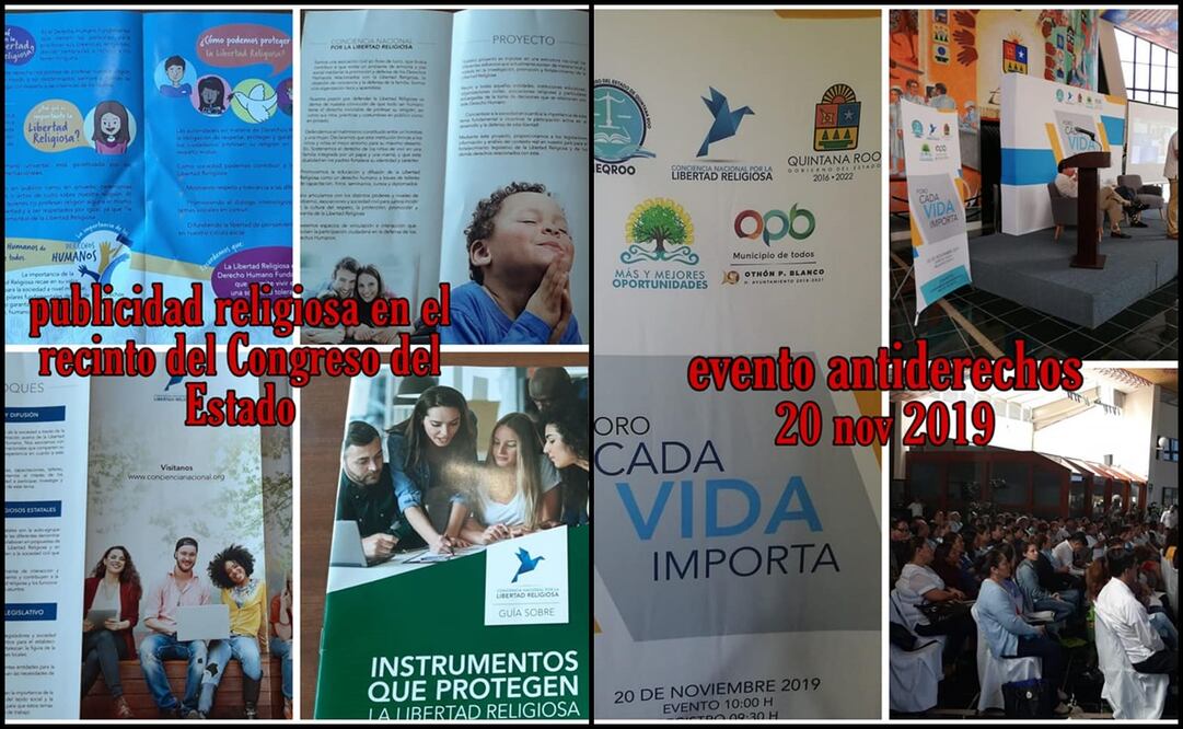 Fotos: cortesía de Marea Verde Quintana Roo