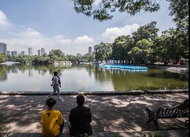 Un juez para el pabellón de Gabriel Orozco en Chapultepec