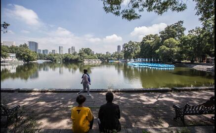 Un juez para el pabellón de Gabriel Orozco en Chapultepec