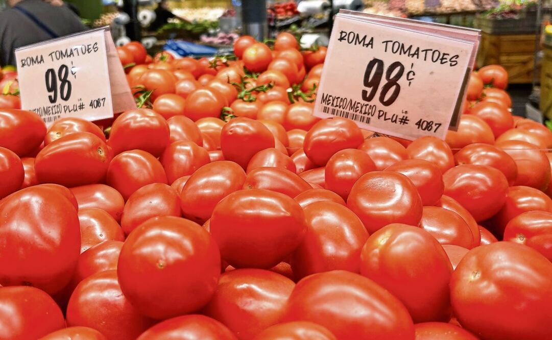 En Estados Unidos estiman que el precio del jitomate mexicano se dispare hasta 50%. Foto: Ronaldo Schemidt / AFP