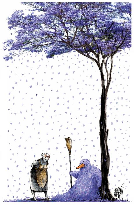 Nevada de jacarandas