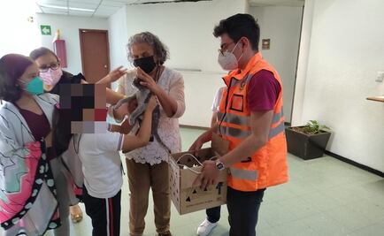 Adoptan a gatita hallada en las vías del Metro Cuatro Caminos