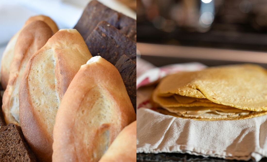 Los cereales son la base de la alimentación y con ellos se elaboran las tortillas y los bolillos. Fotos: Freepik