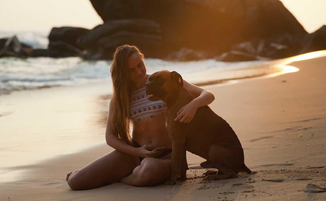 Consejos para viajar con tu mascota / PEXELS