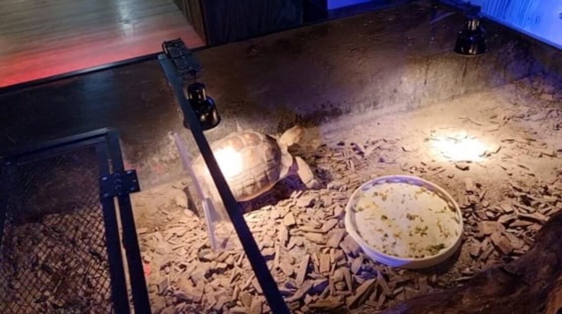 ¿Crueldad hacia especies en Acuario Inbursa?