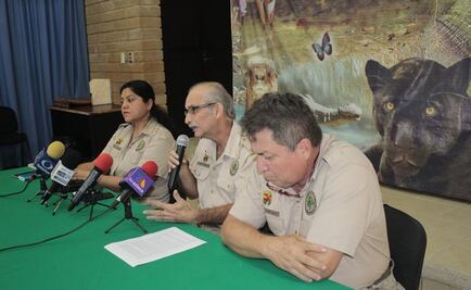 Perros callejeros matan a 8 venados en zoológico de Chiapas