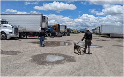 FGR asegura predio en Tizayuca Hidalgo con 38 automotores 73 cajas secas y diversos vehículos