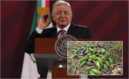 ¿Qué es el chinín, alimento al que AMLO llama "la mantequilla de los pobres"?