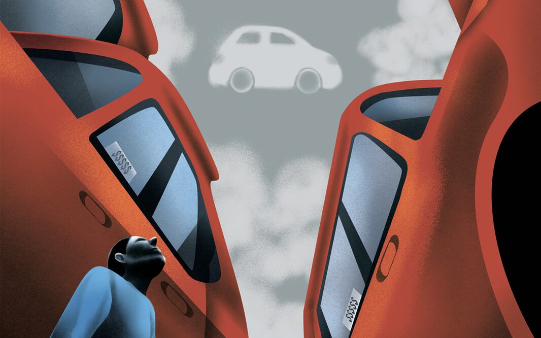 Ilustración: Ani Cortés