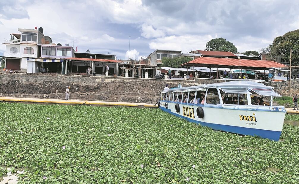 La plaga de lirio acuático es cada vez mayor en el espejo de agua, lo que representa otro grave problema para los habitantes y pescadores de la región.