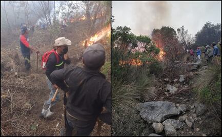 Reportan activos dos incendios forestales en zona montañosa central de Veracruz