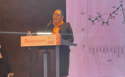 Sedena sí puede hacer labores de seguridad pública, dice Rosa Icela Rodríguez a diputados de Morena