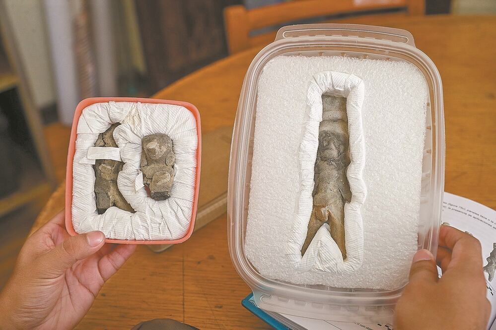Figurillas encontradas en La Media Luna de San Luis Potosí. Foto: DIEGO SIMÓN SÁNCHEZ. EL UNIVERSAL