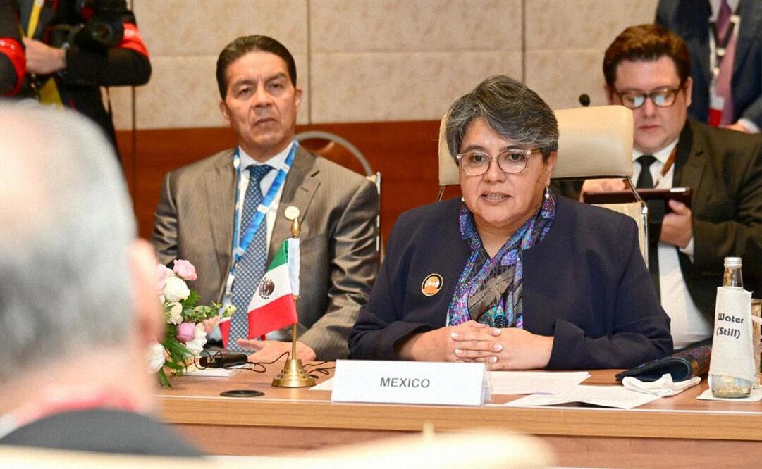 Raquel Buenrostro, secretaria de Economía, en la cumbre del G-20. Foto: SE