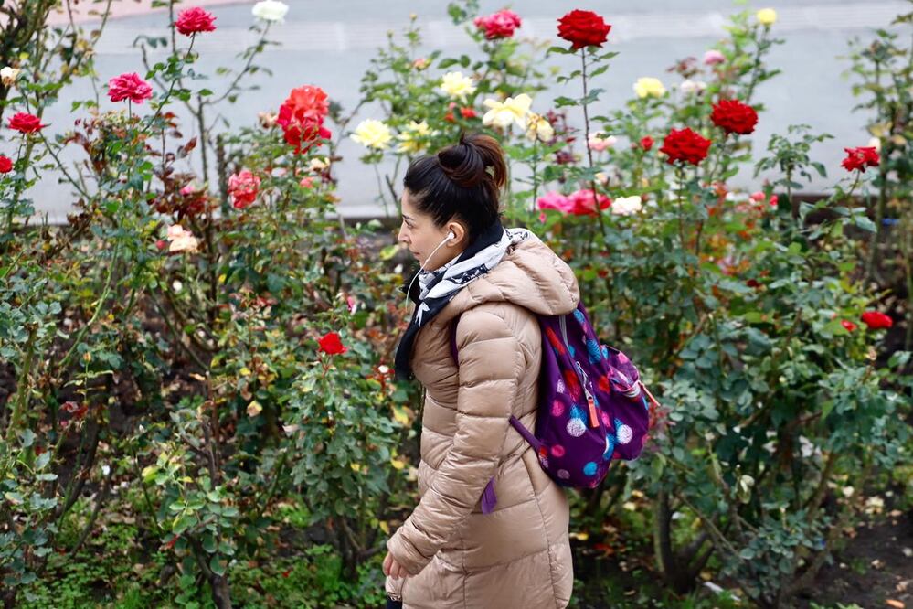 Clima  CDMX ¿A qué hora hará más frío hoy, 26 de noviembre de 2021?