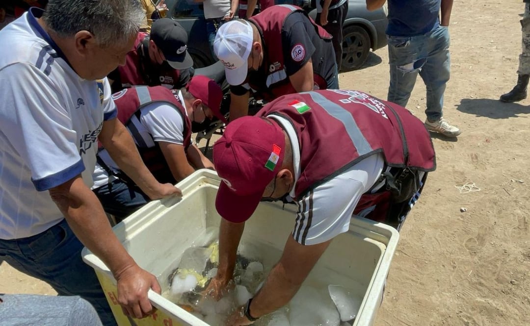 Retiran chelerías en canchas de fútbol de Álvaro Obregón; vecinos denuncian violencia tras partidos. Foto: Especial
