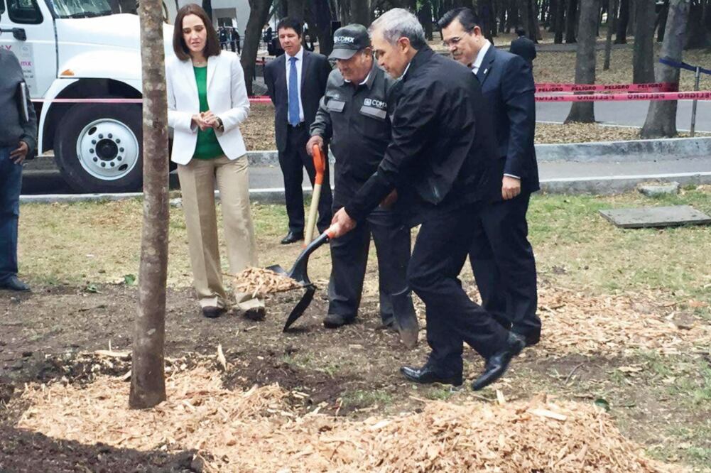 El jefe de gobierno capitalino, Miguel Ángel Mancera, participó en la plantación de algunos árboles. Destacó que fueron seleccionados exclusivamente “para la tarea urbana”, por lo que no representan un riesgo (ESPECIAL)