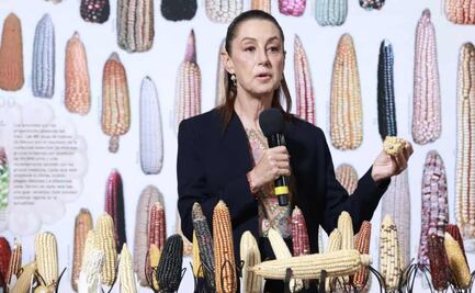 Sheinbaum contempla creación de tortillerías de maíz nativo; va por “programa ambicioso” para cultivo de maíz originario