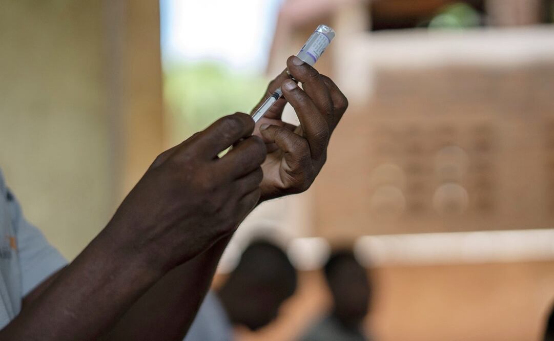 El paludismo o malaria es causada por parásitos del género Plasmodium que infectan los glóbulos rojos de la sangre o eritrocitos. Foto: AP