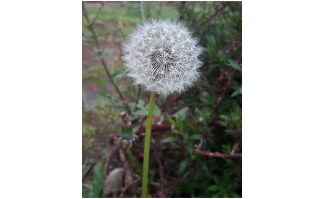 Archivo / EL UNIVERSAL