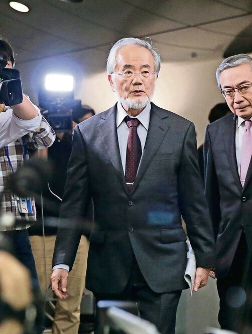Ohsumi recibirá un diploma, una medalla de oro y 933 mil dólares (KIMIMASA MAYAMA. EFE)