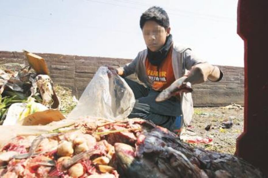 Historia. Pepenan alimentos entre toneladas de desperdicio