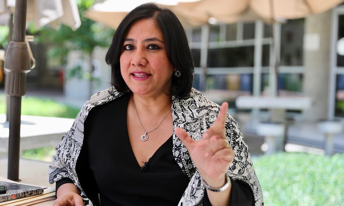 ¿Irma Eréndira Sandoval busca regresar al gobierno?