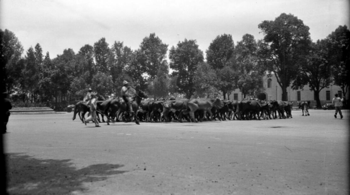 El edificio para la salud e higiene