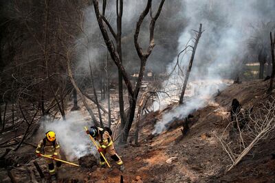 "Chile entero llora a Valparaíso": Boric tras decretar duelo nacional por las víctimas en los incendios forestales